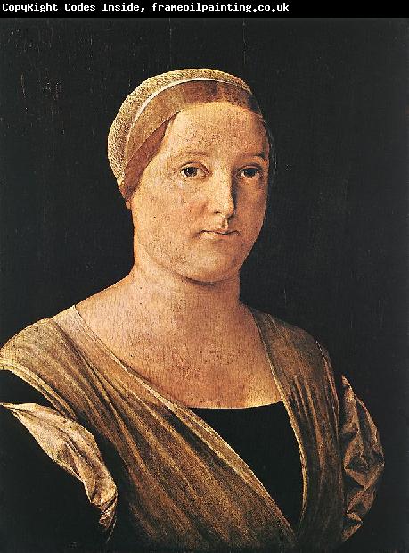 LOTTO, Lorenzo Portrait of a Woman sg